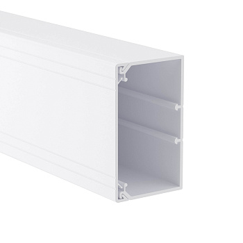 TA-GN 100x60 Короб с крышкой с направляющими для установки разделителей