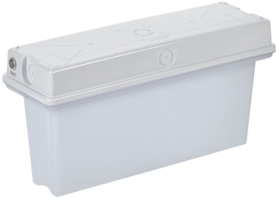 Светильник авар. ССА1010 3ч универс. IP65 IEK